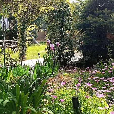 Modern & Loft By The Sea & Jacuzzi Couette-café